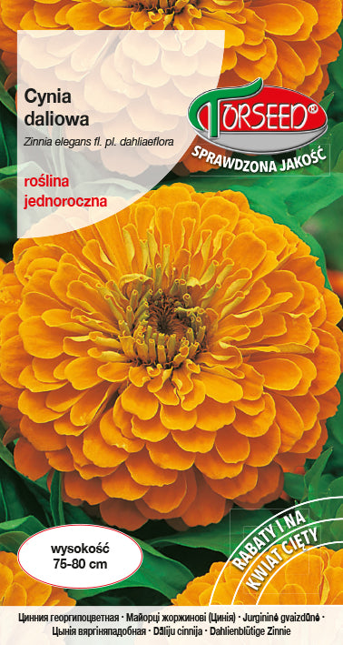Zinnia dahlia
