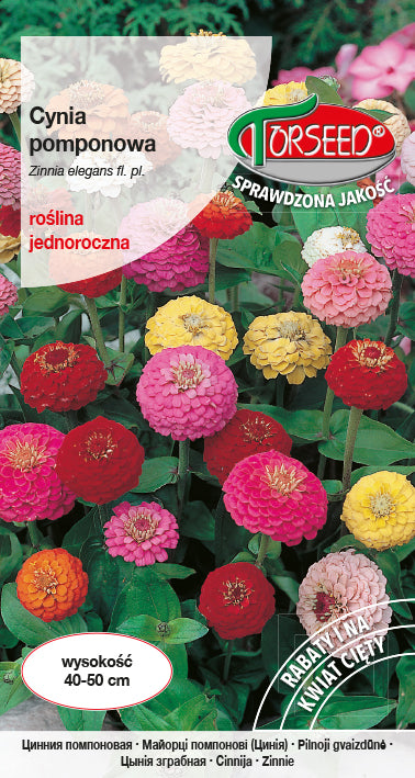 Zinnia dahlia