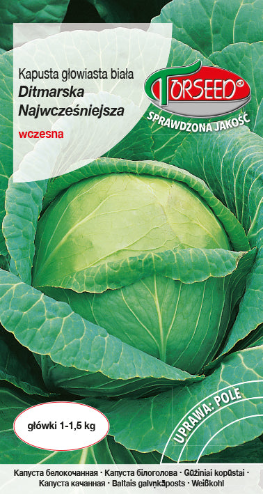Kapostu sēklas