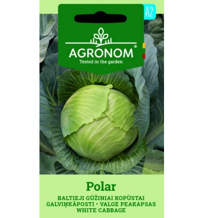 Galviņkāposts baltais Polar 2g
