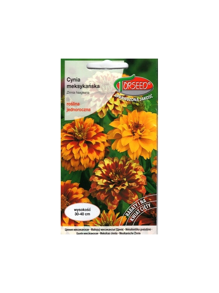 Zinnia dahlia