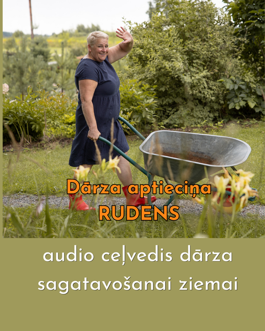 Dārza rudens aptieciņa – Ko zinošs saimnieks izdara rudenī, lai pavasarī dārzs neizskatās pēc glābšanas projekta