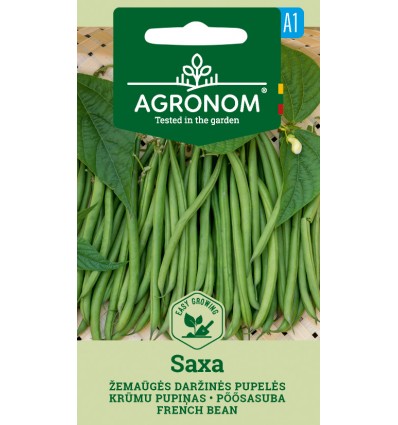 Pupiņas krūmu, franču Saxa 10g