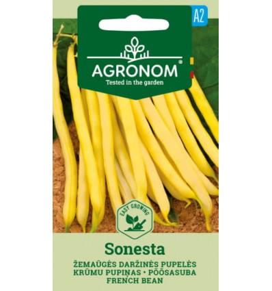 Krūmiņu pupiņas dzeltenas, agrīnas