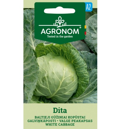 Galviņkāposta sēklas balti Dita 