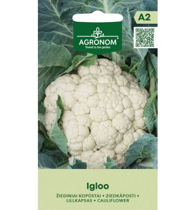 Agrie ziedkāposti Igloo sēklas 0.5g saldēšanai, koservēšanai