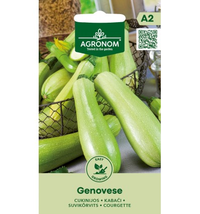 Kabaču sēklas 