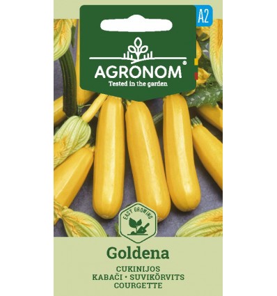 Courgette Goldena
