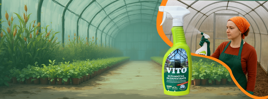 Līdzeklis siltumnīcas dezinfekcijai Vito. Kā dezinficēt siltumnīcu?