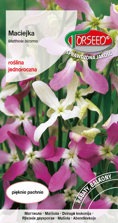 Matiolas