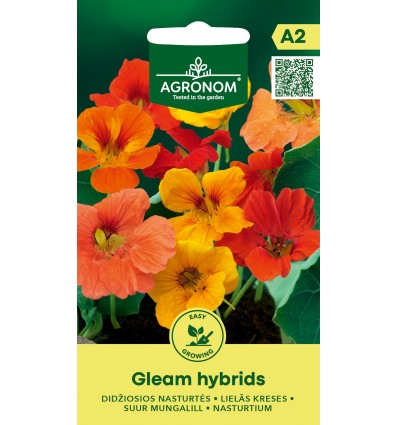 Nasturtium Gleam Hybrids