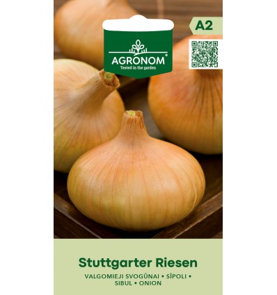Sīpolu sēklas STUTTGARTER RIESEN