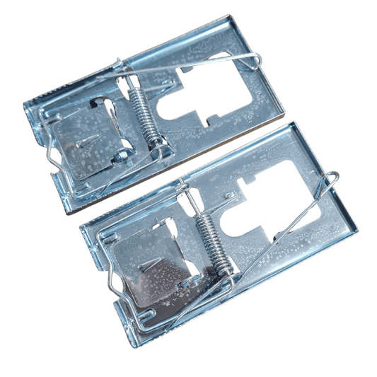 Peļu slazdi, lamatas.