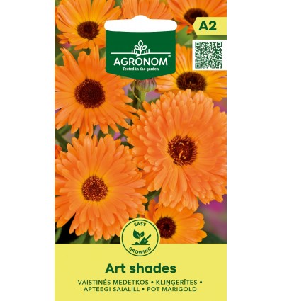 Kliņģerītes sēklas Marigold Art Shades