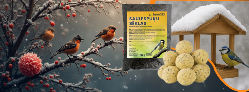 Putnu barība āra , savvaļas putniem. Saulespuķu sēklas dārza putniem